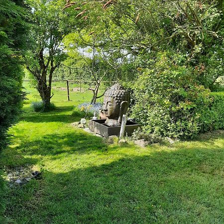 Un Petit Coin De Paradis 2 Clairfontaine Eksteriør billede